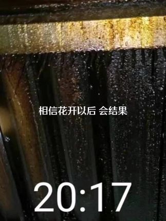 青島餐飲協(xié)會(huì)嶗山區(qū)餐飲協(xié)會(huì)清洗前后對(duì)比